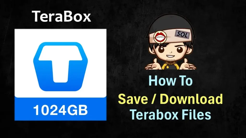 use a TeraBox Downloader to save files