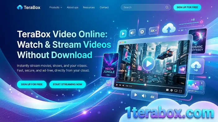 TeraBox Video Online